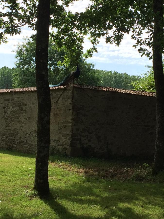 Cabanes Et Studios A La Bernardiere Sevremoine Exterior photo